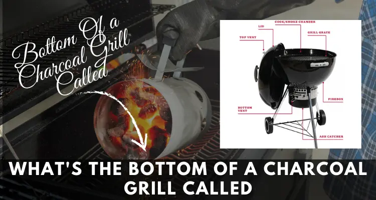 what's the Bottom Of a Charcoal Grill Called